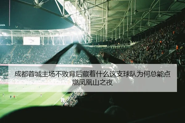 成都蓉城主场不败背后藏着什么这支球队为何总能点燃凤凰山之夜